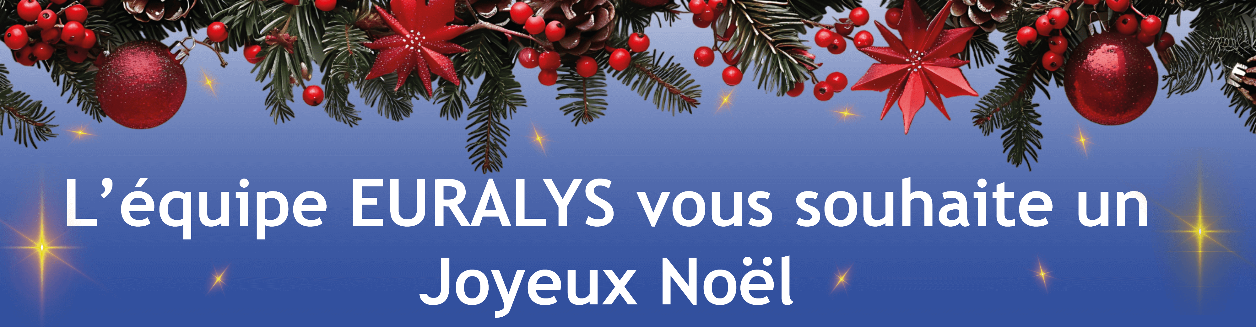 L'équipe d'Euralys vous souhaite un Joyeux Noël